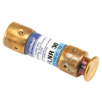 30 Amp Dual Element Time Delay Fuse, 600 V